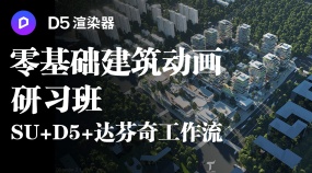 D5渲染器零基础建筑动画研习班SU+D5+达芬奇工作流