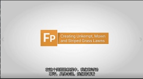 ForestPack快速制作草地【中文翻译】