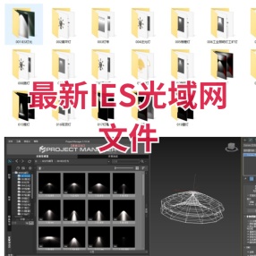 IES光域网文件