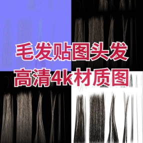 高清4k毛发贴图头发PBR材质图PNG 次时代头发 通道