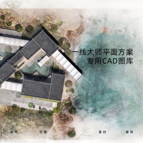 一线大师平面方案专用CAD图库