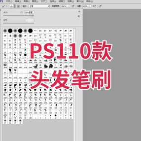 PS110款头发笔刷